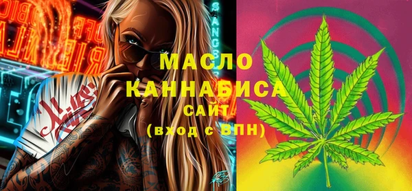 МДПВ Инта
