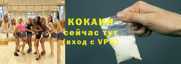 прущая мука Инсар