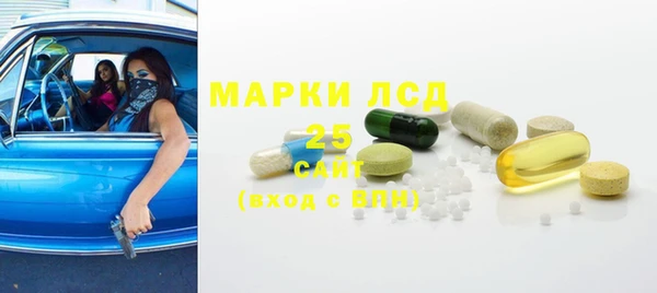 прущая мука Инсар