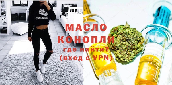 МДПВ Инта