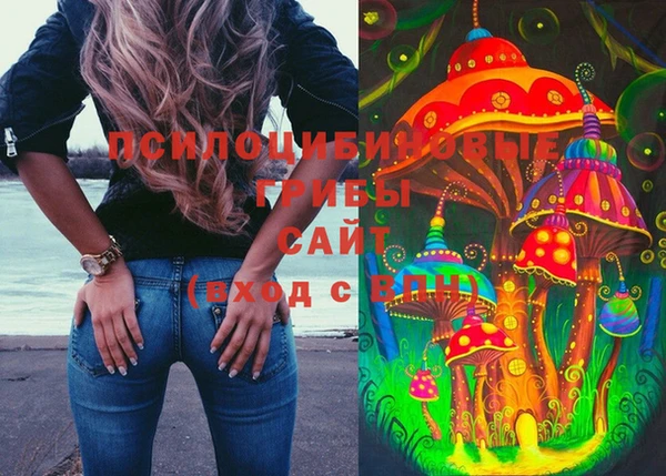 прущая мука Инсар