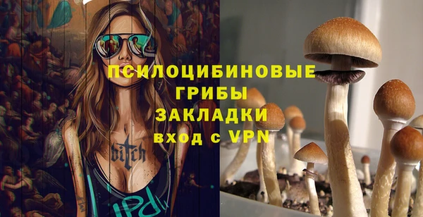 прущая мука Инсар